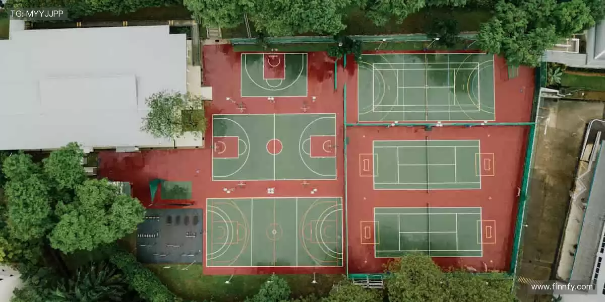 🎯 精准直播，互动不停！💬